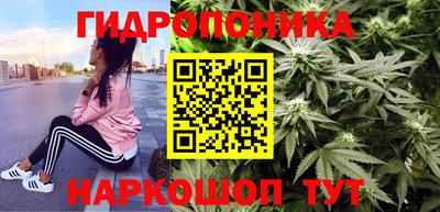 стафф Балаково