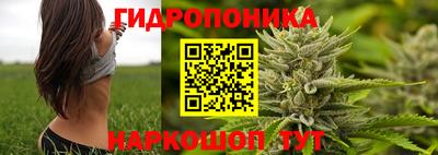 стафф Балаково