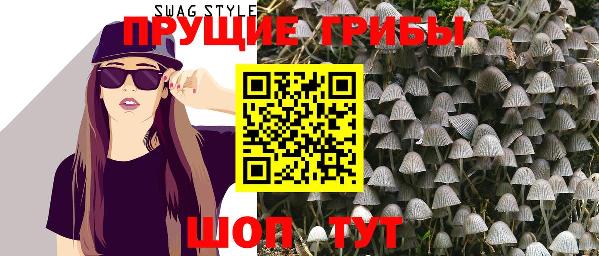 Псилоцибиновые грибы мухоморы  купить   Выборг  Галлюциногенные грибы Magic Shrooms  Вход с VPN 